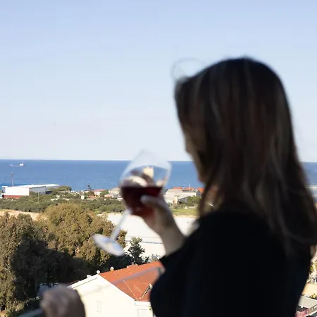 Port View 파마구스타
